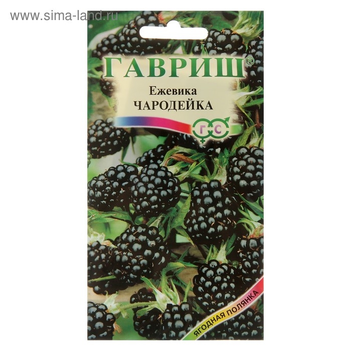 Семена Ежевика Семена Ежевика "Чародейка", 10 шт