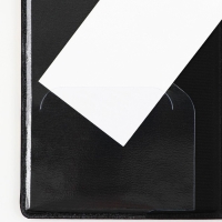 Обложка на паспорт &laquo;Паспорт Россия&raquo;, искусственная кожа