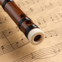 Флейта Music Life 48 см, бамбук, тональность D Флейта Music Life 48 см, бамбук, тональность D