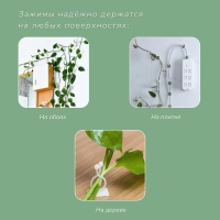 Крепления для вьющихся растений, самоклеящиеся, &laquo;Бабочка&raquo;, набор 10 шт., Greengo