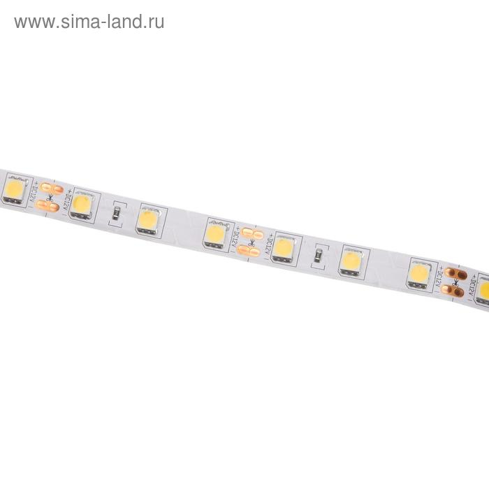 Светодиодная лента Ecola PRO 5 м, IP20, SMD5050, 60 LED/м, 14.4 Вт/м, 12 В, 4200К Светодиодная лента Ecola PRO 5 м, IP20, SMD5050, 60 LED/м, 14.4 Вт/м, 12 В, 4200К