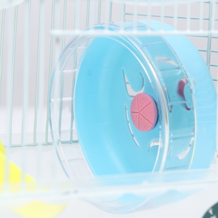 Клетка для грызунов Клетка для грызунов "Пижон", 23 х 17 х 33 см, прозрачная, голубое наполнение