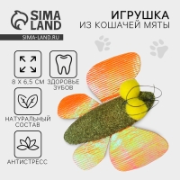 Игрушка для кошек &laquo;Бабочка&raquo; из кошачьей мяты, 8 х 6.5 см