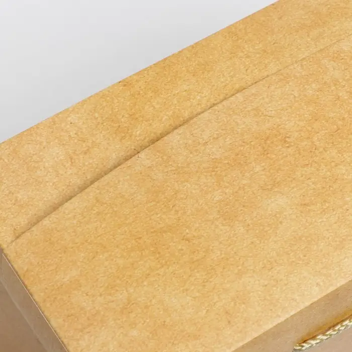 Пакет&mdash;коробка &laquo;Крафтовый&raquo;, 28 &times; 20 &times; 13 см