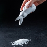 Набор для специй Доляна &laquo;Зайка&raquo;, 2 предмета: солонка 50 мл, перечница 50 мл, цвет белый