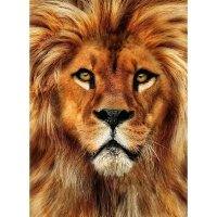 Алмазная мозаика с полным заполнением на холсте &laquo;Лев&raquo;, 15 х 21 см