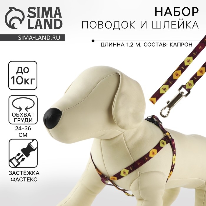 Комплект &laquo;Пчёлы&raquo;, шлейка 24-36 см, поводок 120х1 см