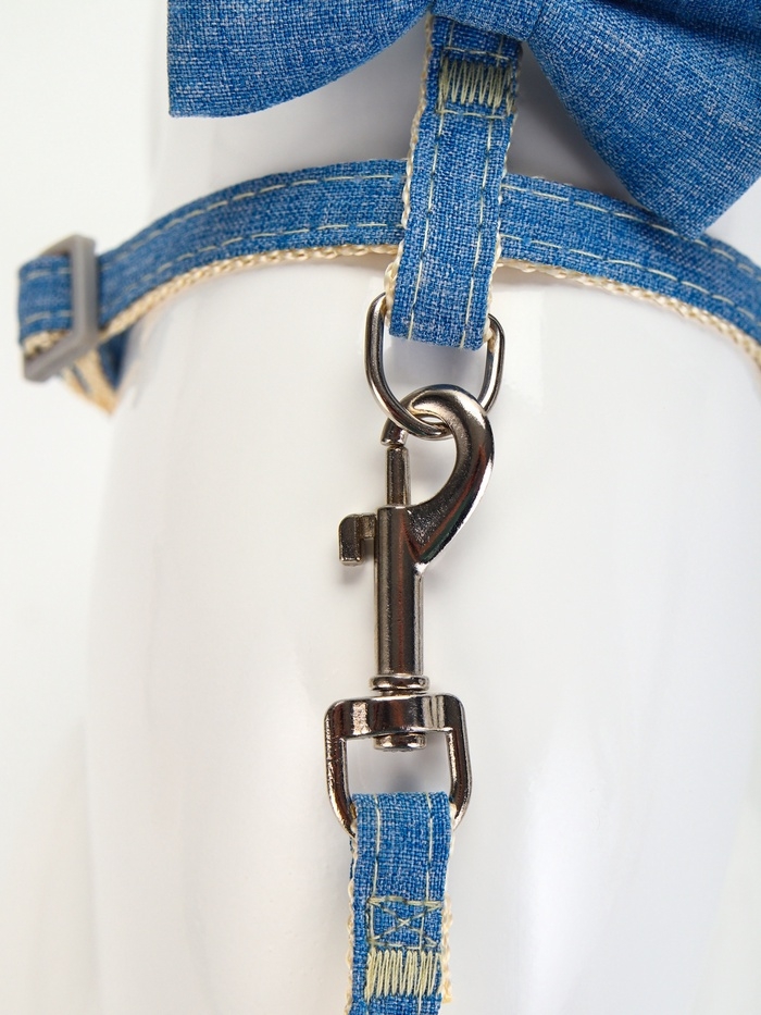 Комплект амуниции "Леди и Джентельмен", поводок 120 х 1 см, синий