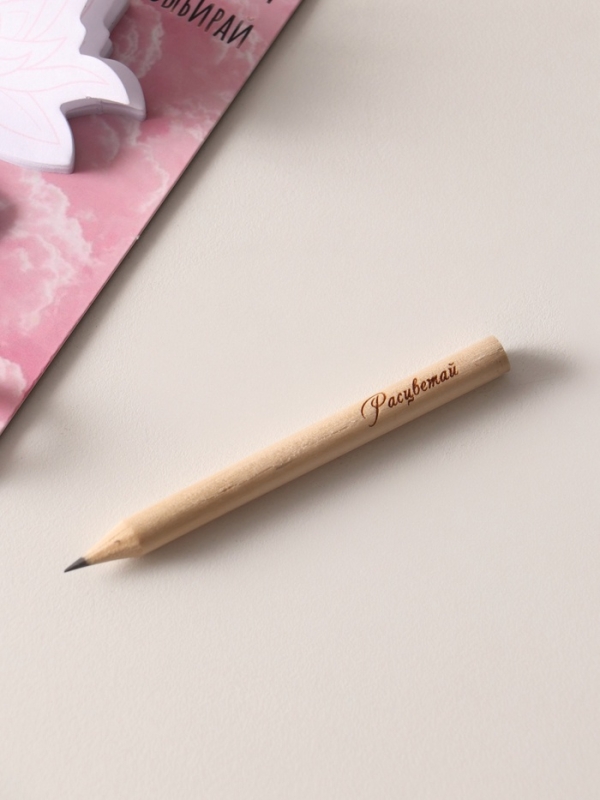 Магнит с блоком для записей и карандашом "5 важных правил" 9х13 см