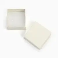 Коробочка подарочная под кольцо/серьги/серьги &laquo;Минимал&raquo;, 5&times;5 см (размер полезной части 4.5&times;4.5 см), белая, вставка белая