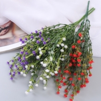 Букет "Рипсалис" 32 см, микс