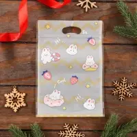 Пакет Zip-lock, "Корейский стиль", 15,5*22+3,5см МИКС