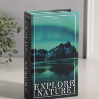 Сейф-книга дерево кожзам "Полярное сияние" 21х13х5 см