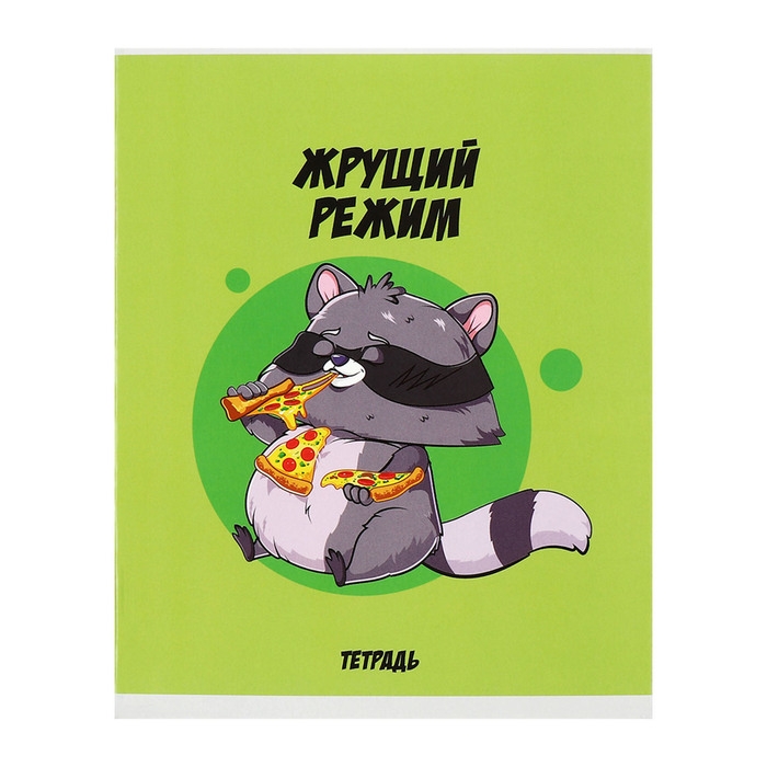 Комплект тетрадей из 5 штук, 48 листов в клетку Calligrata Комплект тетрадей из 5 штук, 48 листов в клетку Calligrata "Дерзкий енот", обложка мелованный картон, блок офсет