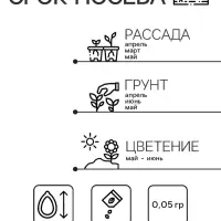 Семена Гвоздика "Грёзы", ц/п,  0,05 г