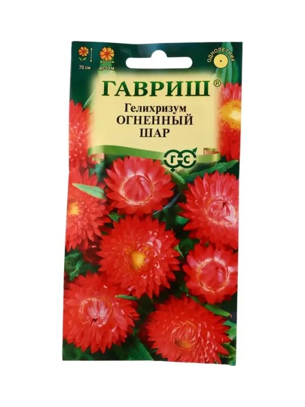Семена цветов Гелихризум Огненный шар* 0,1 г