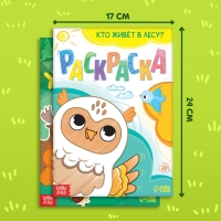 Набор 3 в 1 &laquo;Жители леса&raquo;: 12 пазлов, книга с наклейками, раскраска