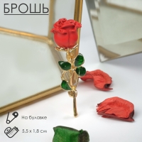 Брошь &laquo;Цветок&raquo; роза, цвет красно-зелёный в золоте