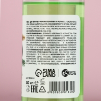 Пена для ванны &laquo;Мечты сбудутся!&raquo;, 250 мл, аромат зелёного яблока, Новый Год