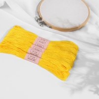 Набор ниток мулине №973, 8 ± 1 м, 6 шт, цвет ярко-жёлтый Набор ниток мулине №973, 8 ± 1 м, 6 шт, цвет ярко-жёлтый