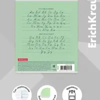 Тетрадь 12 листов в линейку &laquo;Классика с линовкой&raquo;, обложка мелованный картон, блок офсет, зелёная