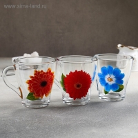 Кружка стеклянная &laquo;Коллекция цветов&raquo;, 250 мл, рисунок МИКС