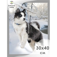 Алмазная мозаика &laquo;Хаски&raquo;, 30 &times; 40 см