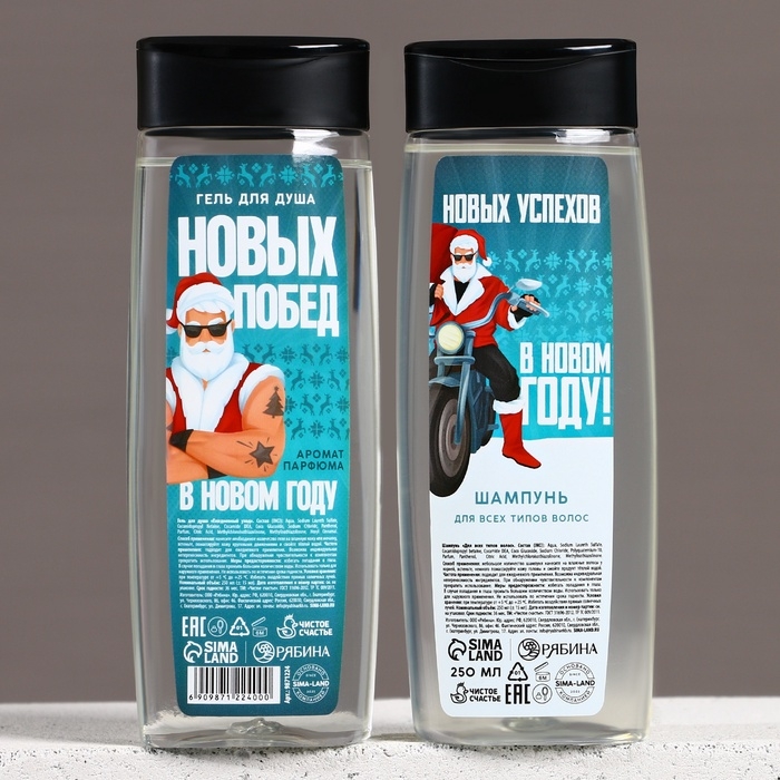 Подарочный набор косметики &laquo;Новых побед в Новом Году!&raquo;, гель для душа и шампунь для волос, 2 х 250 мл, ЧИСТОЕ СЧАСТЬЕ
