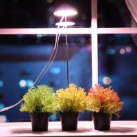 Фитосветильник светодиодный ЭРА, 12 Вт, IP20, 110х110х215 мм, штыковой, полный спектр