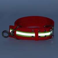Ошейник четырехслойный светоотражающий с вертлюгом, 71 х 5 см, ОШ 55-65 см, красный