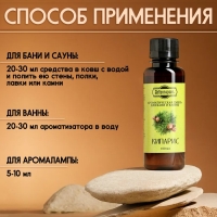 Ароматизатор для бани и ванны "Кипарис" натуральная, 100 мл "Добропаровъ" Ароматизатор для бани и ванны "Кипарис" натуральная, 100 мл "Добропаровъ"