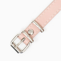 Намордник пластиковый №7 с ошейником из эко кожи ОМ 38 см ДН 14 см ОШ 55-72 см