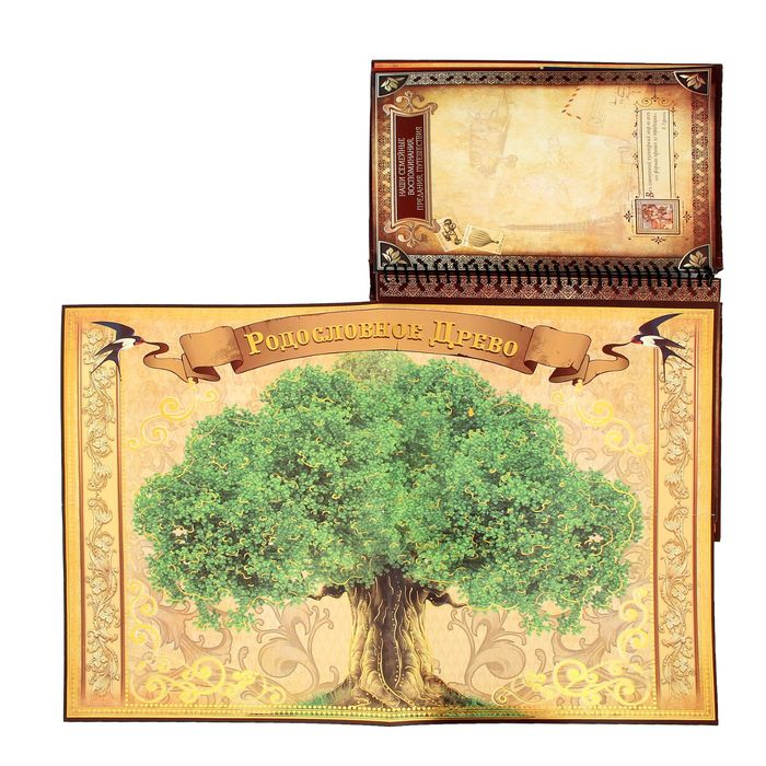 Родословная книга &laquo;История семьи&raquo;, 27 листов, 24.5 х 29.2 см