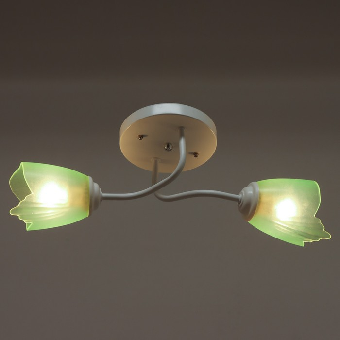 Люстра 1341002/2GN E27 15Вт белый-зеленый BayerLux
