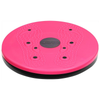 Диск здоровья ONLYTOP, с магнитными вставками, d=25 см, цвета МИКС