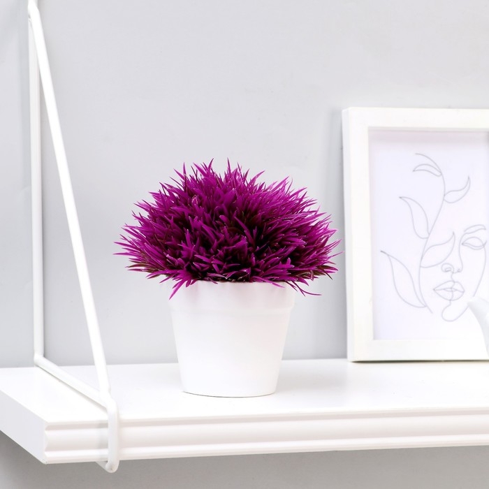 Бонсай Бонсай "Цветная травка" 12 см, микс