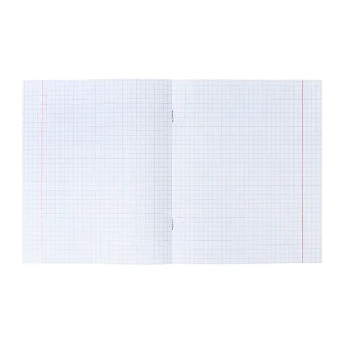 Тетрадь 48 листов в клетку Calligrata, бумвинил, блок №2, белизна 75% (серые листы), эконом, зелёный