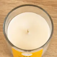 Свеча с кристаллом внутри Sea and Summer "Vacation at Sea" морской, 120 гр