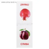 Книжка обучающая по методике Г. Домана &laquo;Фрукты&raquo;, 20 стр.