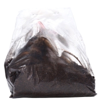 Пионы молочноцветковые и гибриды "Сара Бернар ", 1 шт, р-р 2-3, Весна 2025