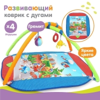 Развивающий коврик с дугами &laquo;Веселый парк&raquo;, 97&times;86 см, виды МИКС, Дельфин