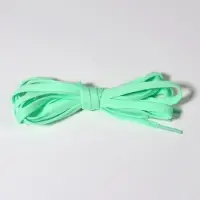 Шнурки для обуви, пара, плоские, 8 мм, 120 см, мятные