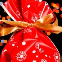 Пакет полиэтиленовый подарочный, с завязками "Снежинки", 15*23см.