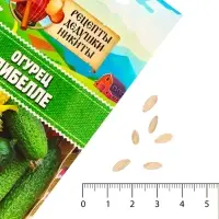 Семена Огурец "Либелле", 0,1 г