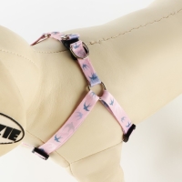 Комплект &laquo;Ласточки&raquo;, шлейка 24-36 см, поводок 120х1 см