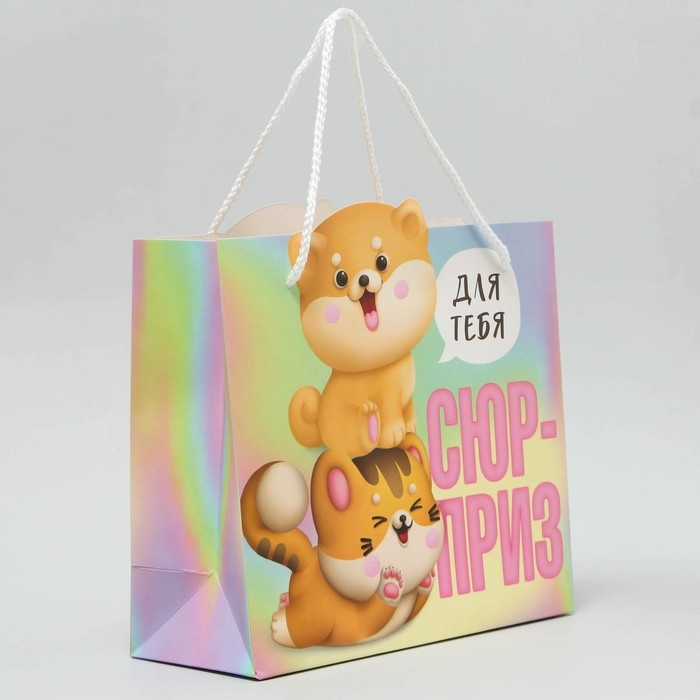 Пакет подарочный, упаковка, &laquo;Сюрприз&raquo;, 25 х 26 х 10 см