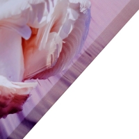 Картина на холсте "Лебеди" 50*70 см Картина на холсте "Лебеди" 50*70 см