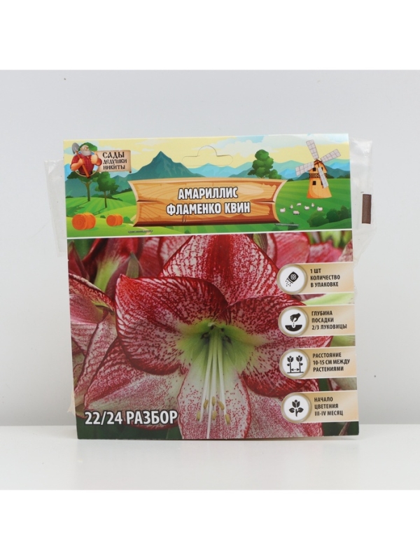 Амариллис Flamenco Queen, многолетник, луковица, р-р 22/24, 1 шт.
