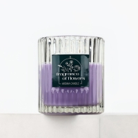 Свеча ароматическая в стекле &laquo;Лаванда&raquo;, интерьерная