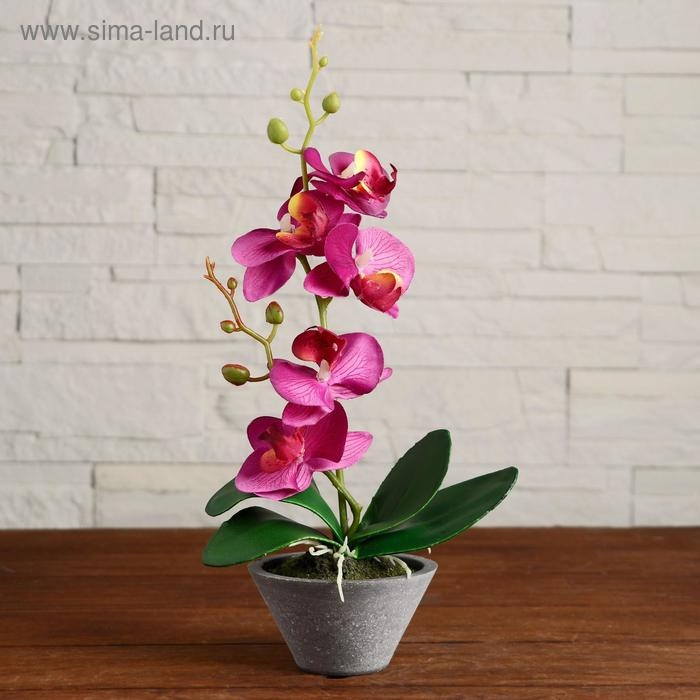 Композиция в горшочке "Орхидея" 10х28 см, микс